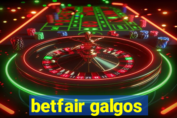 betfair galgos